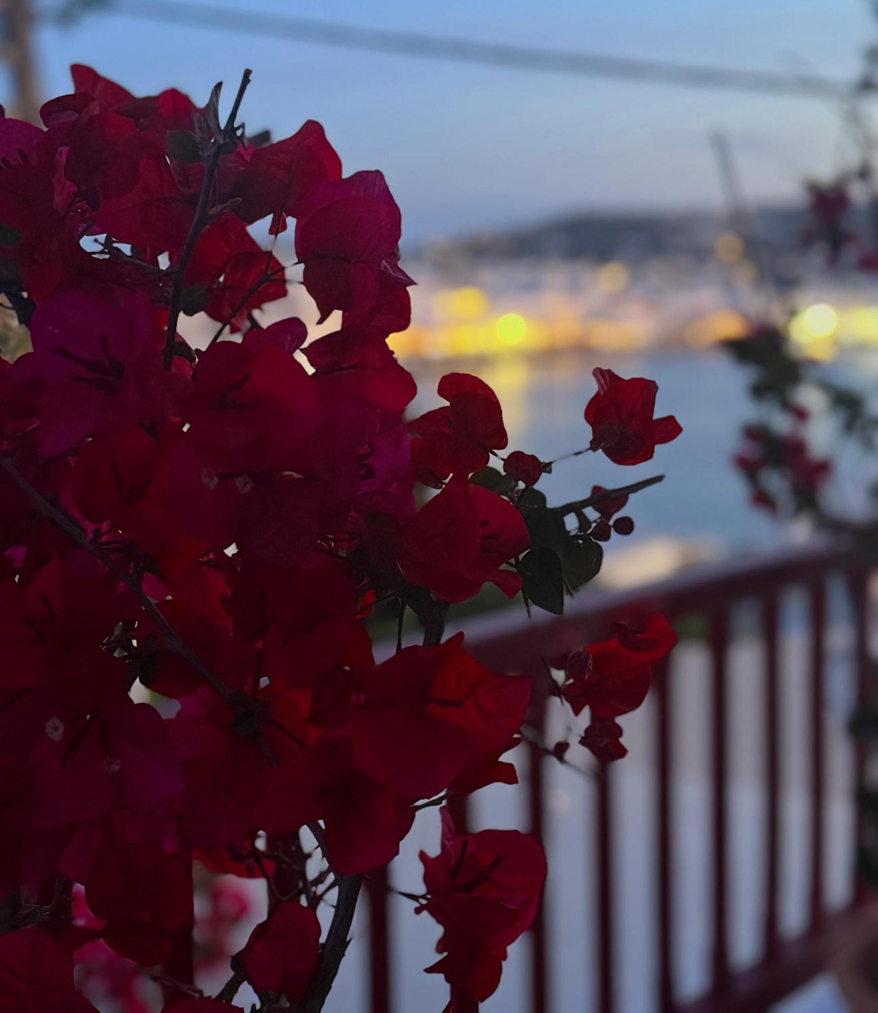 Arodou Studio And Apartment Mykonos Town المظهر الخارجي الصورة