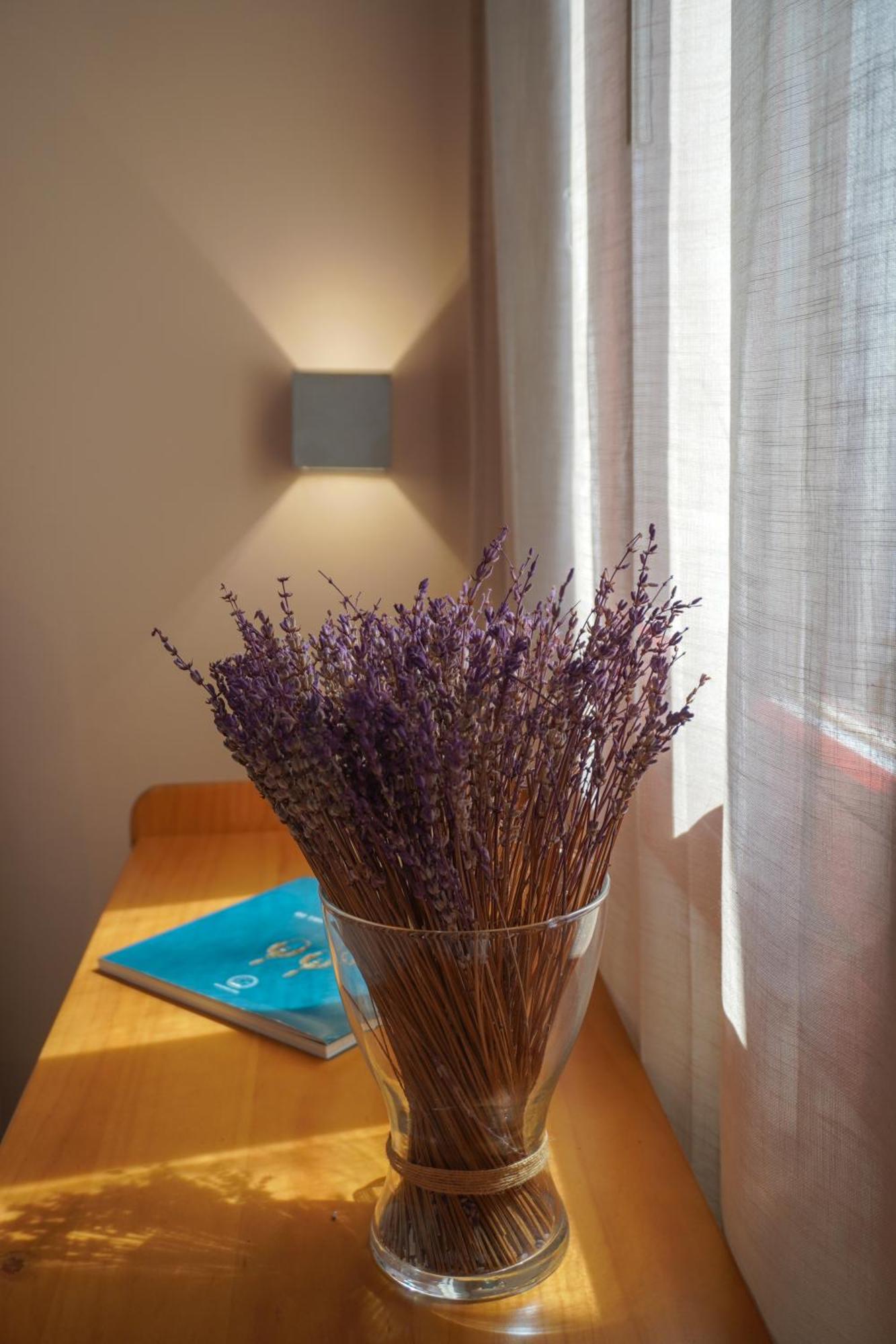 Arodou Studio And Apartment Mykonos Town المظهر الخارجي الصورة